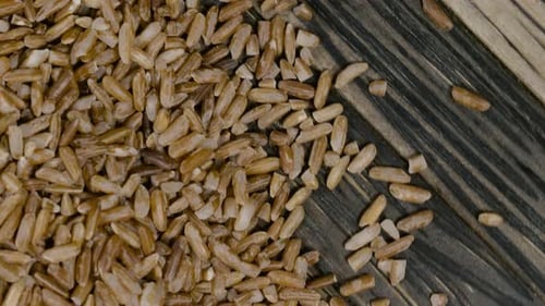 Extreme Close Up of Whole Grain Seeds