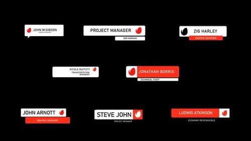 Dynamic Corporate Lower Thirds with Animated Title Displays
