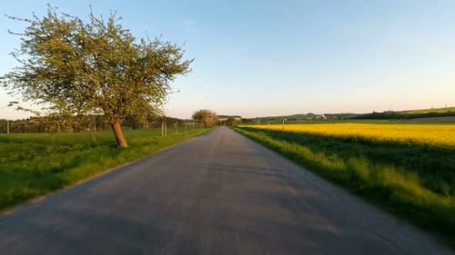 Car driving in spring time in rural countryside