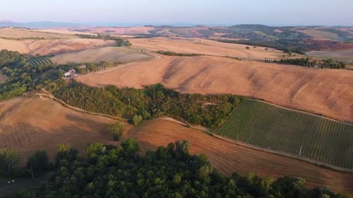 Golden Rural Fields Landscape Aerial