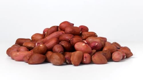 Shelled Peanuts Piled on a White Background