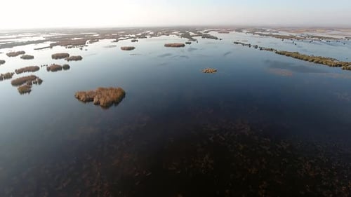 Aerial View of Vast, Serene Wetland Landscape