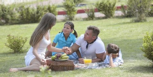 Family Picnic in a Green Suburban Park