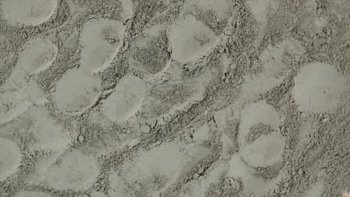 Gray Powder Background Texture with Circular Impressions