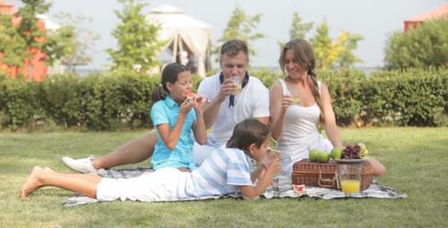 Family Enjoying Picnic in the Park on Sunny Day