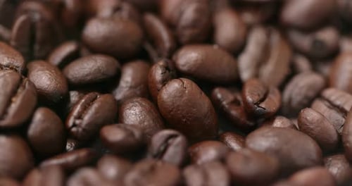 Macro Shot of Freshly Roasted Coffee Beans