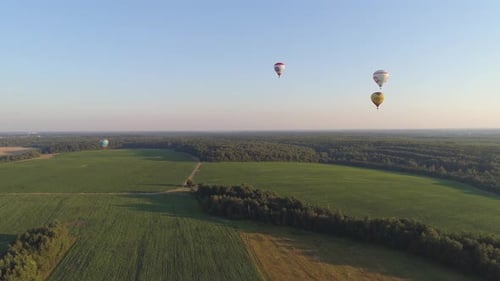 Balloons Float Over the Green Fields and Forest