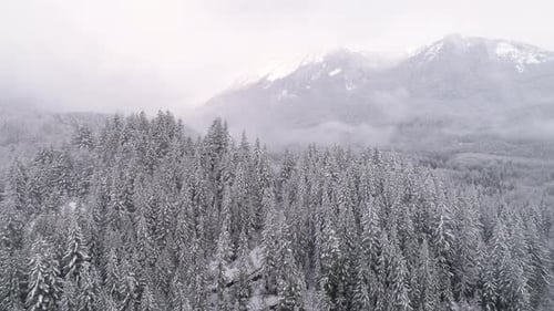 Helicopter View Of Fog Haze On White Mountain Tops In Winter Snow Covered Forest