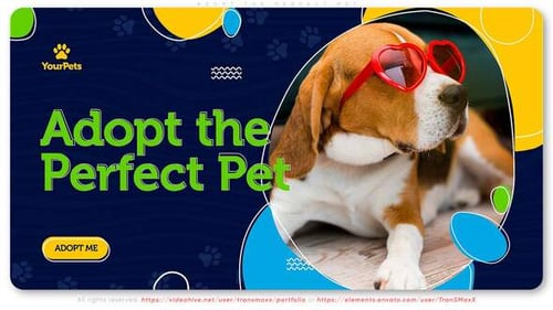 Friendly Pet Adoption Slideshow with Modern Design