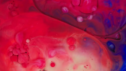 Multicolored Acrylic Paint