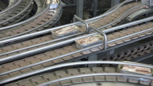 Cans of Fish Moving on Conveyor Belts