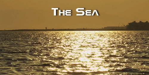 The Sea