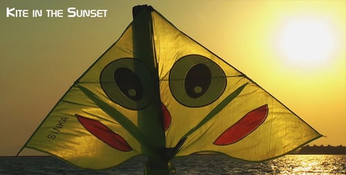 Kite In The Sunset