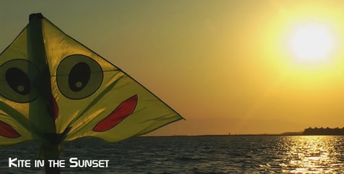 Kite In The Sunset 3