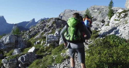 Four Friends Walking Along Hiking Trail Path