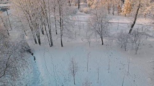 Blick von oben auf einen verschneiten Park