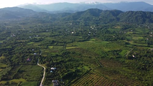 Gardens In The Green Mountain Village