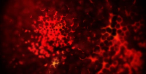 Dynamic Abstract Glowing Cellular Network Background