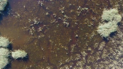 Aerial View of Wetlands in a Marshy Environment