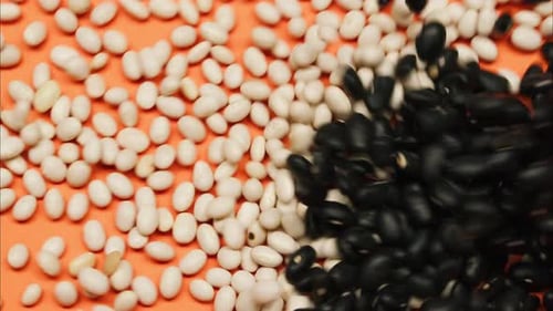 Black and White Beans Contrasting Close Up