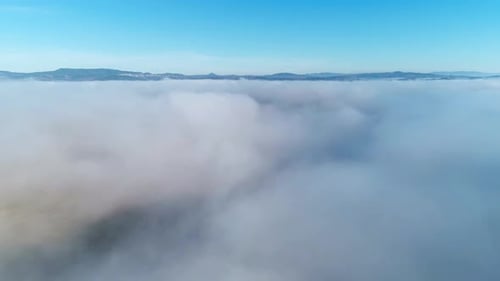 Fliege über Wolken