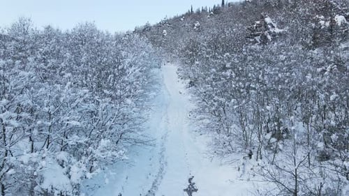 Vue aérienne de Frozen Forest Snow Road