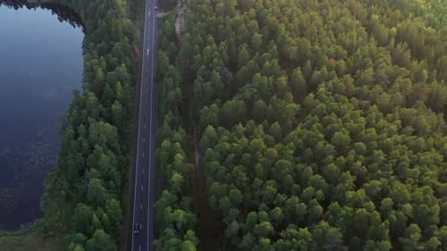 Aerial View From Drone on Asphalt Road at the Forest