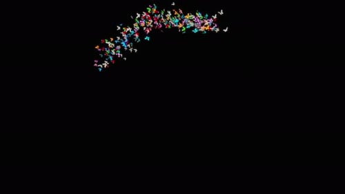 Schmetterling 4K