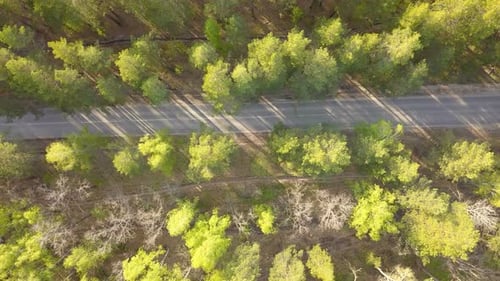 Auto auf der Forststraße von oben