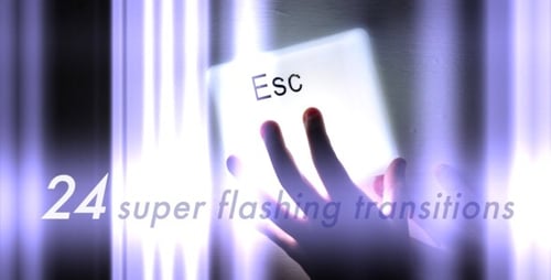 Flashing Stripes - Pack of 24