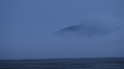 Distant Treeline Over Misty Beach Landscape