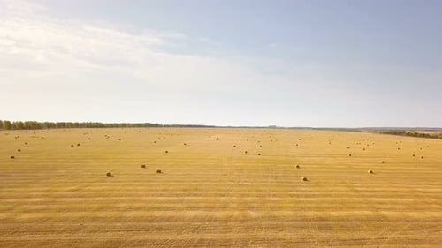Nature Autumn Field