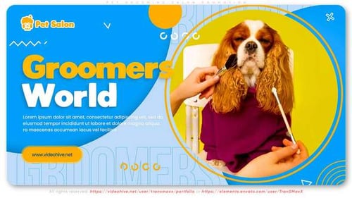 Dynamic Pet Grooming Salon Business Promotion Presentation
