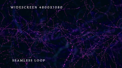 Star Carousel Widescreen