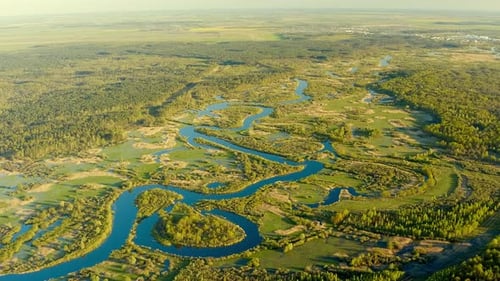 Luftaufnahme Grüner Wald und geschwungene Flusslandschaft im sonnigen Frühlingstag
