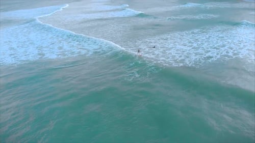 Aerial View From Above Athletic Young Women and Men Surf, Ride Big Waves with Bright Daylight