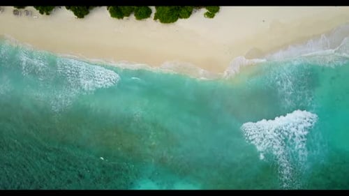 Aerial scenery of tranquil shore beach wildlife by transparent ocean and white sand background of a