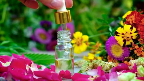 Essential Oil and Flowers for Aromatherapy and Beauty