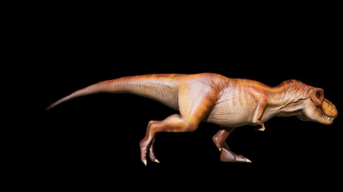 Walking Tyrannosaurus Rex 3D Animation with Alpha Channel