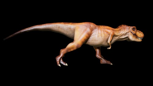 3D Animated Tyrannosaurus Rex Walking Cycle with Alpha Channel