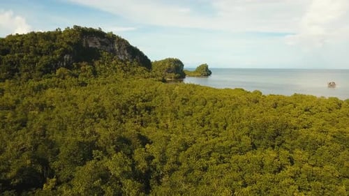 Coast of Tropical Island.