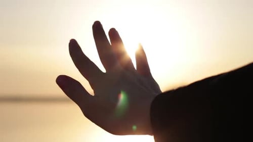 Hand Silhouette with Sun Flare at Sunset