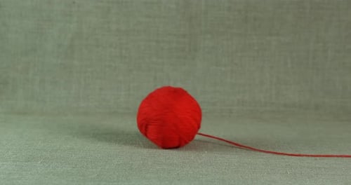 Wool ball on the floor.