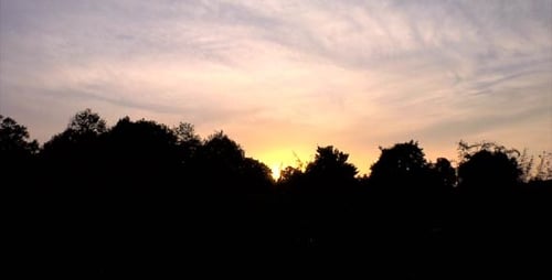 Sunset Behind Trees, Natural Environment, Landscape