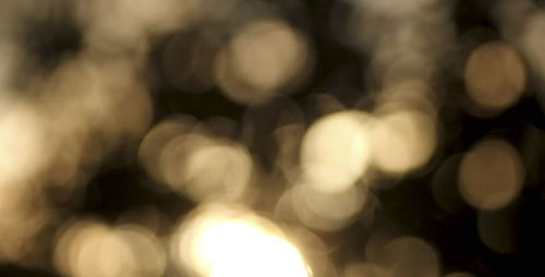 Sunshine Bokeh Background 2