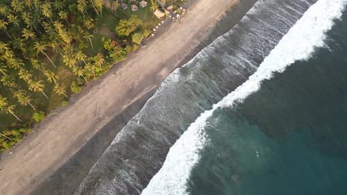 Tropical Beach Aerial View with Waves and Palms