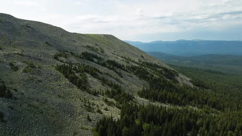 View of a rocky mountain in the middle of the forest