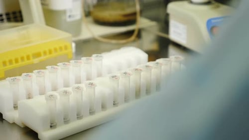 Forscher arbeitet am Arbeitsplatz des Molekulargenetischen Forschungslabors für DNA-Tests