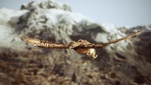 Realistic 3D Eagle Soaring Over Snowy Mountains Animation