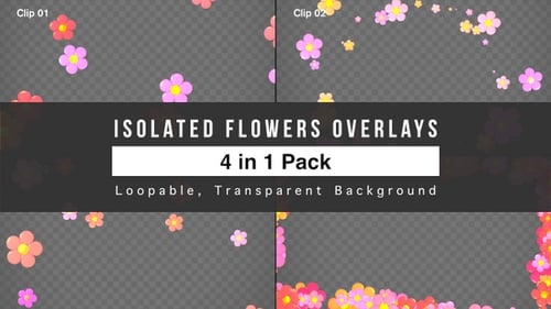 Set mit isolierten Blumen-Overlays